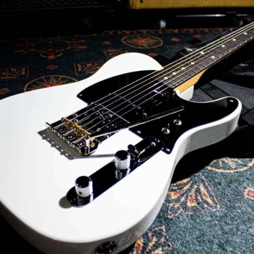 2022 Fender MIJ Miyavi Signature Telecaster Arctic White -        Telecaster