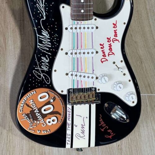 2009 Fender Stratocaster Painted & Signed by Steve Miller -        Stratocaster