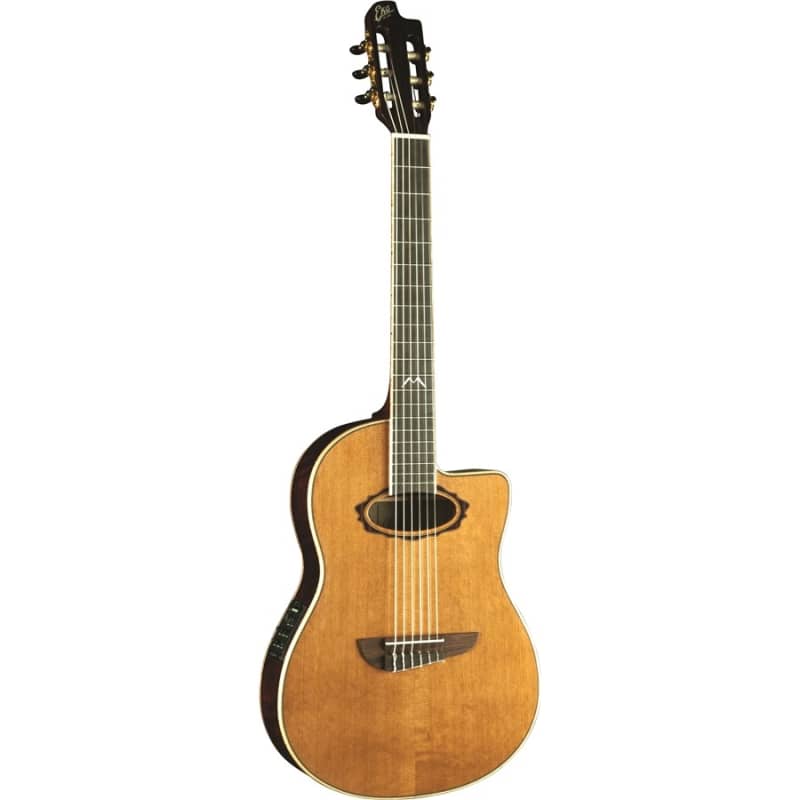 Eko 06217264 Nylon - £657 new Guitar