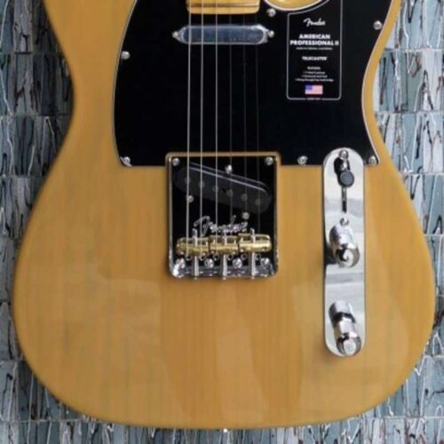 Fender American Professional II Telecaster, Butterscotch Blond... -        Telecaster