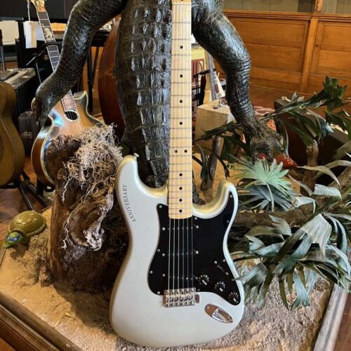 1979 - 1980 Fender 25th Anniversary Stratocaster Silver Metallic -        Stratocaster