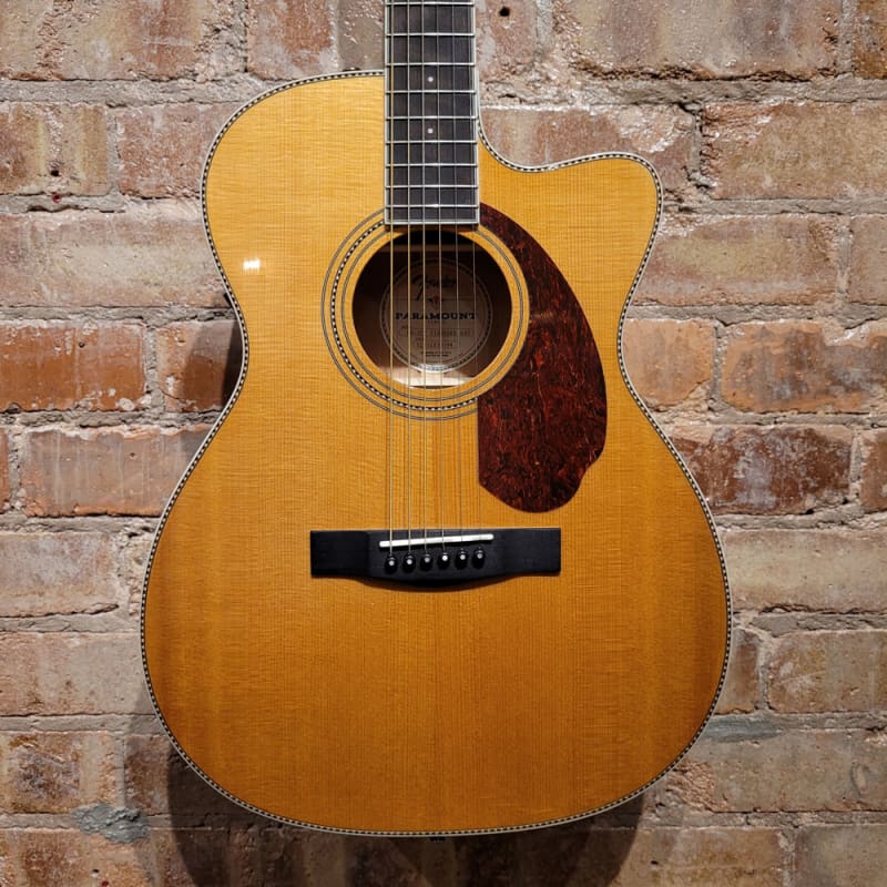 Fender PM-3CE Standard Standard - £419 new Guitar