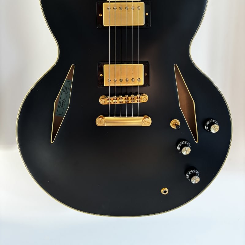 2021 - Present Epiphone Emily Wolfe Signature Sheraton Stealth... - £640 used Guitar