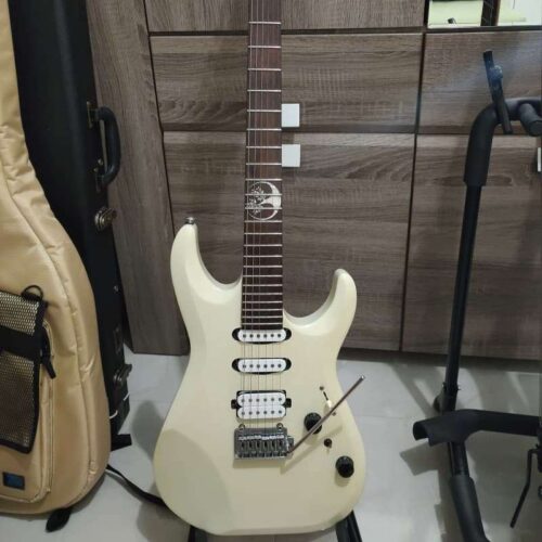 2019 Luna Stratocaster Glossy -        Stratocaster