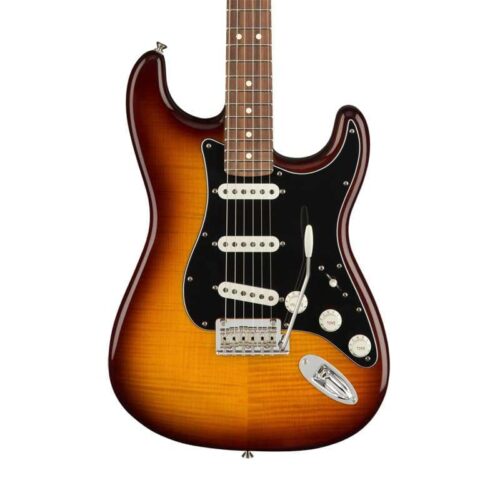 2023 Fender Player Stratocaster Plus Top n/a -        Stratocaster