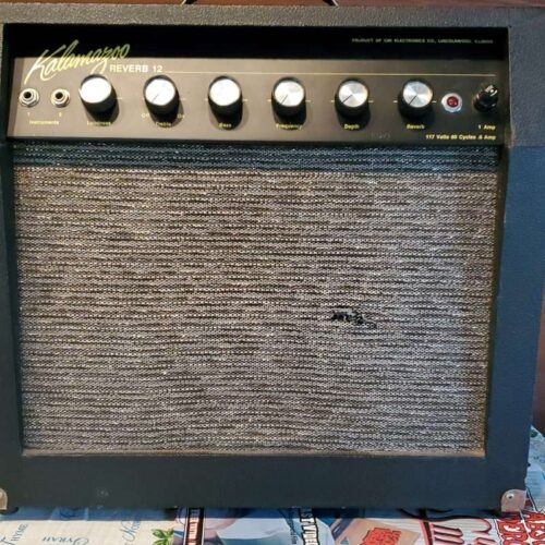 1966 Kalamazoo Reverb 12 Tube amp -       Tube