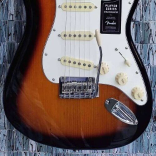 Fender Limited Edition Player Stratocaster, Roasted Maple Fing... -        Stratocaster