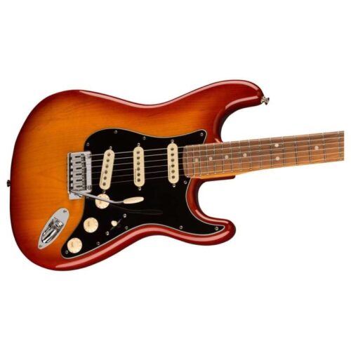 2023 - Present Fender Player Plus Stratocaster with Pau Ferro ... -        Stratocaster