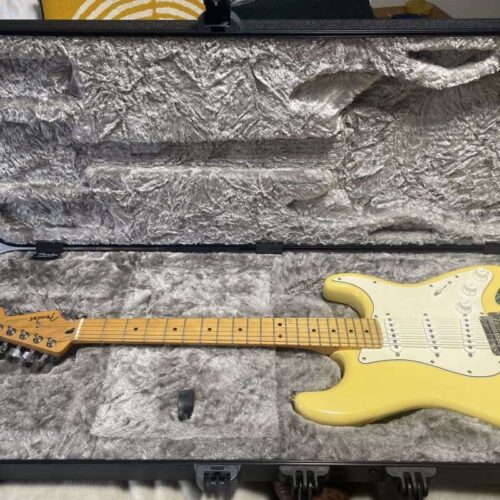 2018 - Present Fender Player Stratocaster with Maple Fretboard... -        Stratocaster