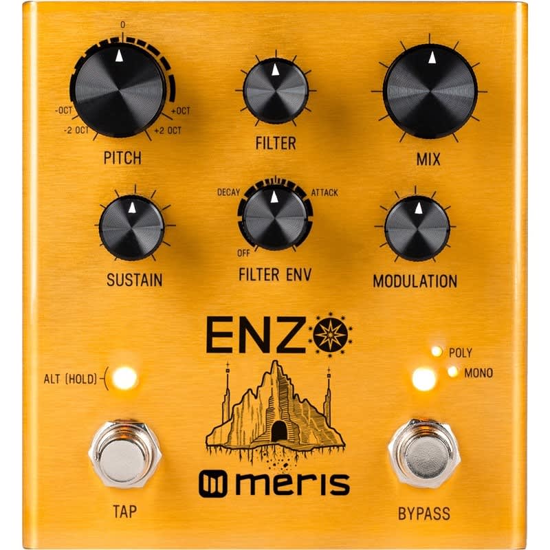 new Meris Meris Enzo Multi-Voice Synth Pedal Multi - Effect Pedal