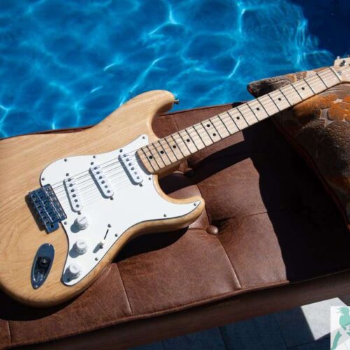 2018 Fender Traditional '70s Stratocaster Ash Natural -        Stratocaster