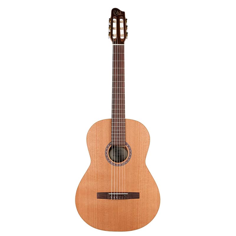 Godin Concert String Guitar Nylon - £832.46 new Guitar