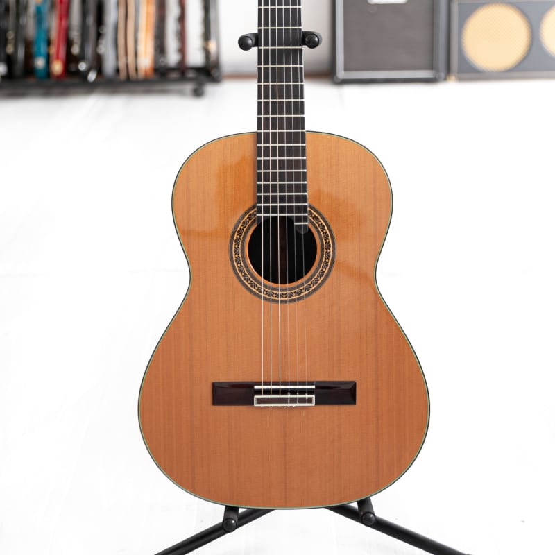 2012 Terry Pack UK Prototype C-1 Natural - £990 used Guitar