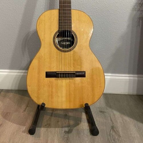 1974 Giannini AWN 60 Nylon Acoustic Guitar Brazilian Rosewood -        Acoustic Guitar