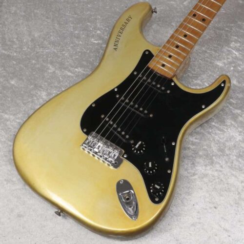 Fender 25th Anniversary Stratocaster [SN 253100] 4.92Kg -        Stratocaster