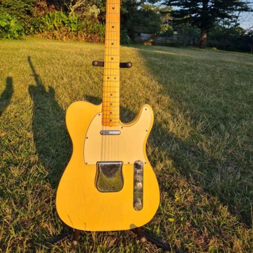 1973 Fender Telecaster Blonde -        Telecaster