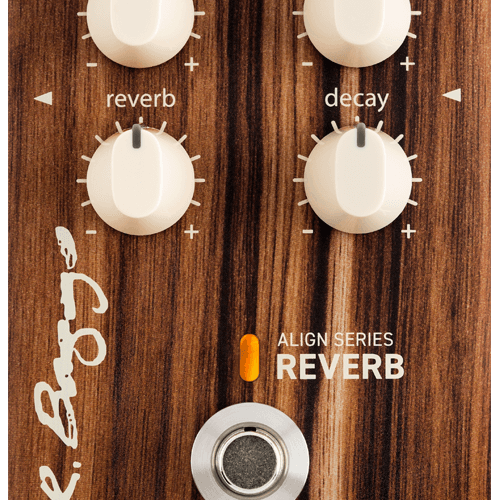 LR Baggs Align Series Reverb Pedal - £229 New