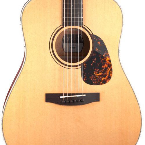 Furch Vintage 1 Series D-SM a Acoustic Guitar in stock