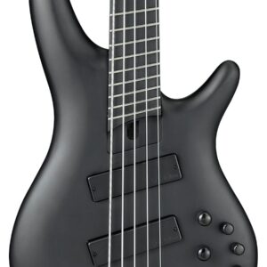 Ibanez SRMS625EX-BKF Limited Edition Iron Label Multi-Scale 5-String Bass in Black Flat