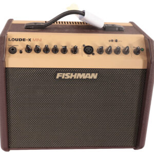 Second Hand Fishman Loudbox Mini Acoustic Guitar Amplifier 940