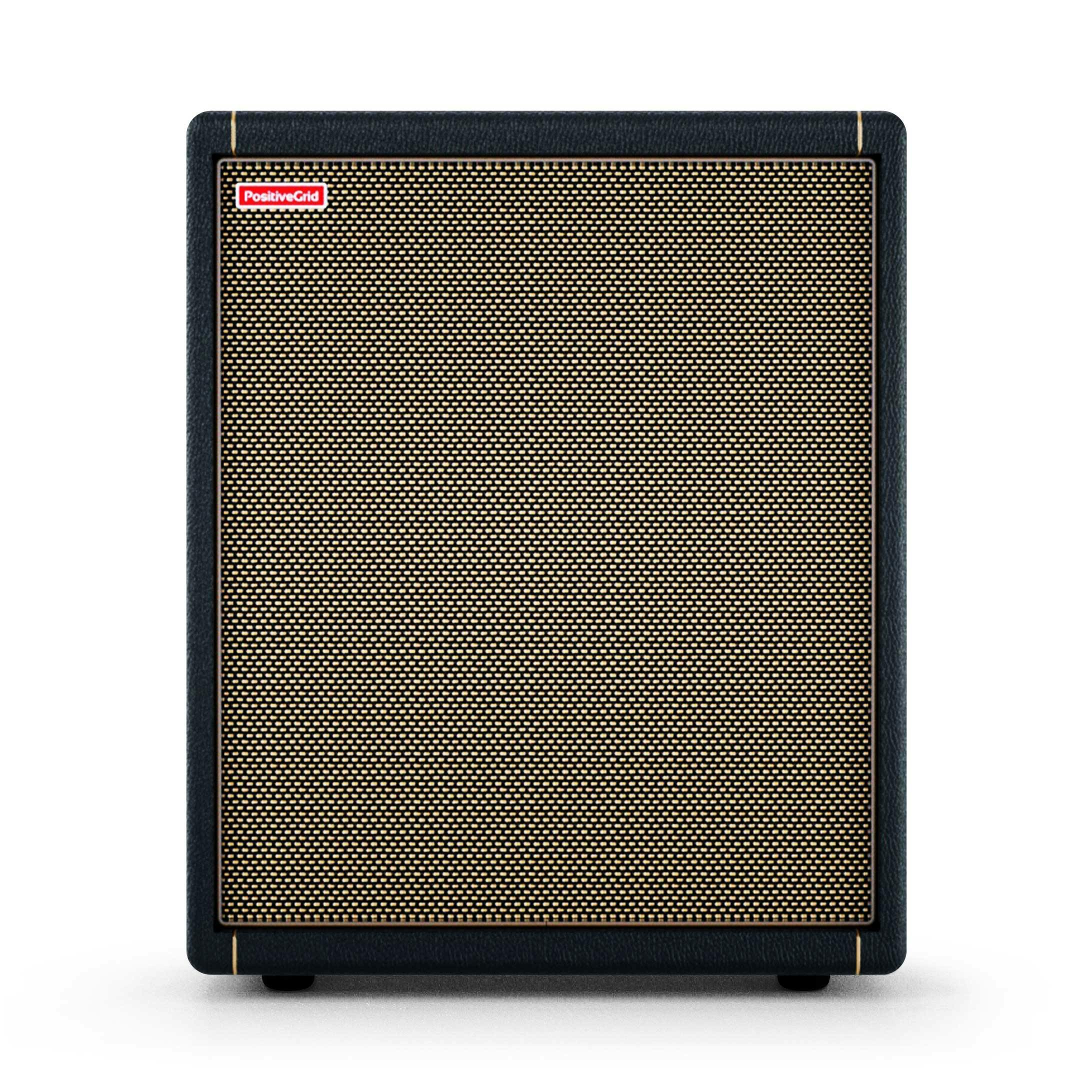 Positive Grid Spark CAB