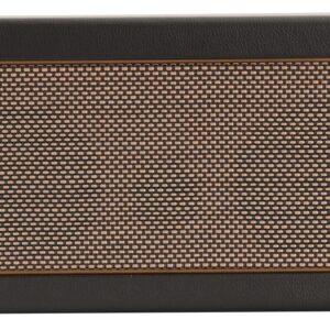 Positive Grid Spark 40w Practice Amp