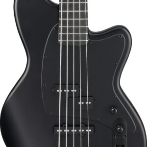 Ibanez TMB425B-BKF TMB Series 5 String Bass in Black Flat