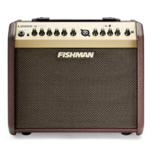 Fishman Loudbox Mini Bluetooth Amp
