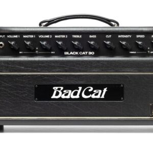 Bad Cat Mod Shop Black Cat 30 Valve Amp Head