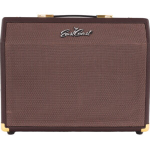 EastCoast AC25-RC 25W Acoustic Guitar Amplifier with Reverb and Chorus