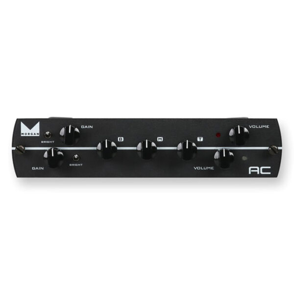 Synergy AC Dual Channel Preamp Module