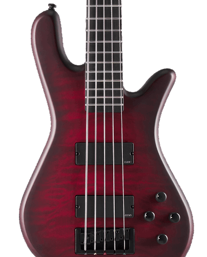 Spector NS Pulse II 5-String Bass Guitar in Black Cherry Matte in stock