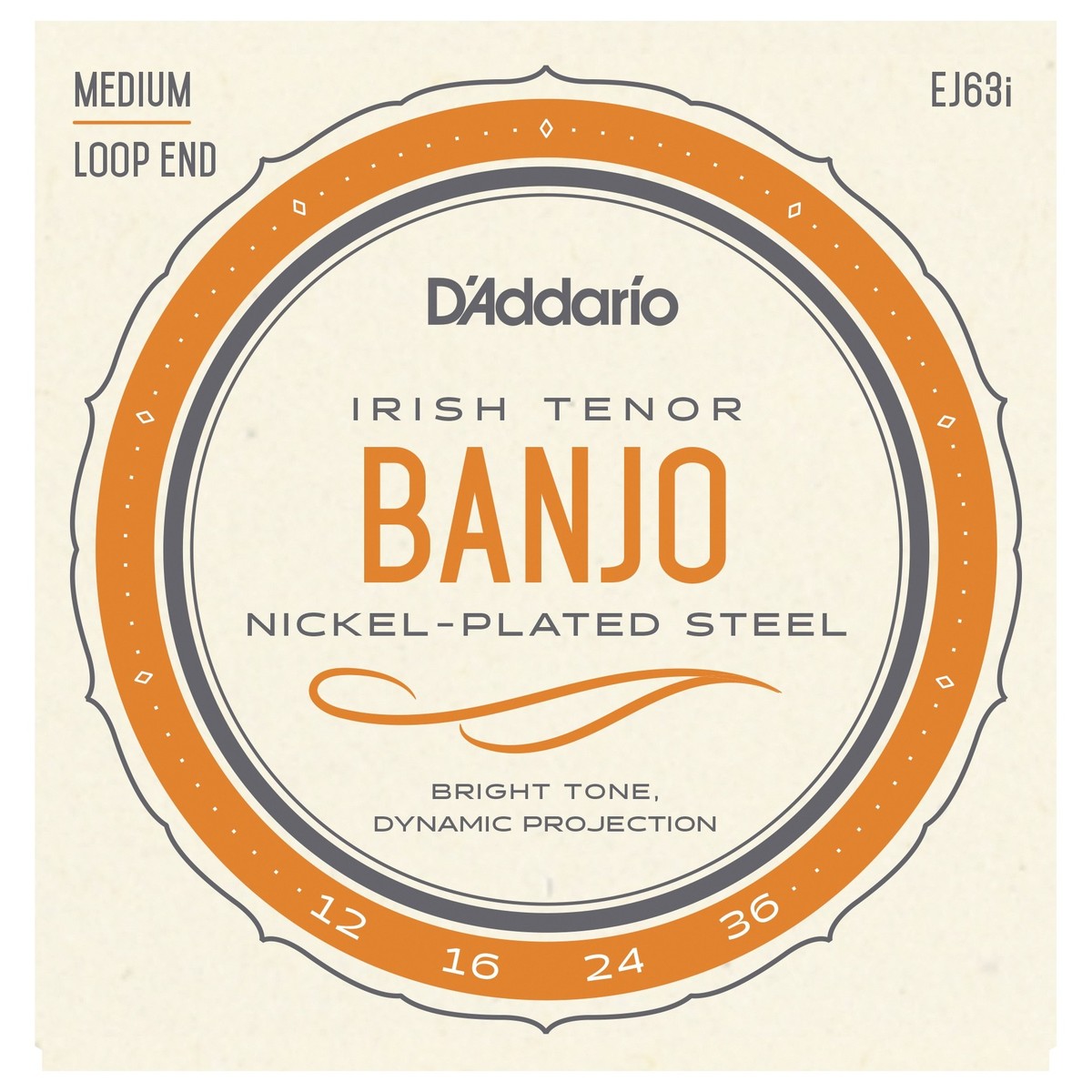 D'Addario EJ63i Irish Tenor Banjo, Nickel, 12-36