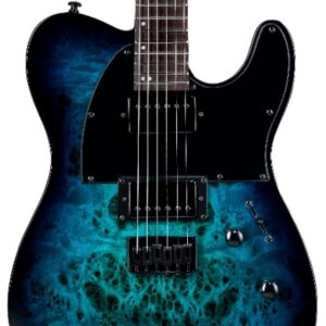 ESP LTD TE-200DX Electric Guitar in Blue Burst