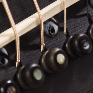 Taylor ES 2 Pickup