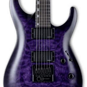 ESP LTD Deluxe H-1000 EverTune Electric Guitar in See Through Purple Sunburst