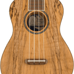 Fender Zuma Exotic Concert Ukulele in Spalted Maple