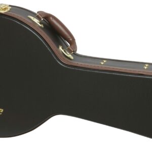 Epiphone A Style Mandolin Case
