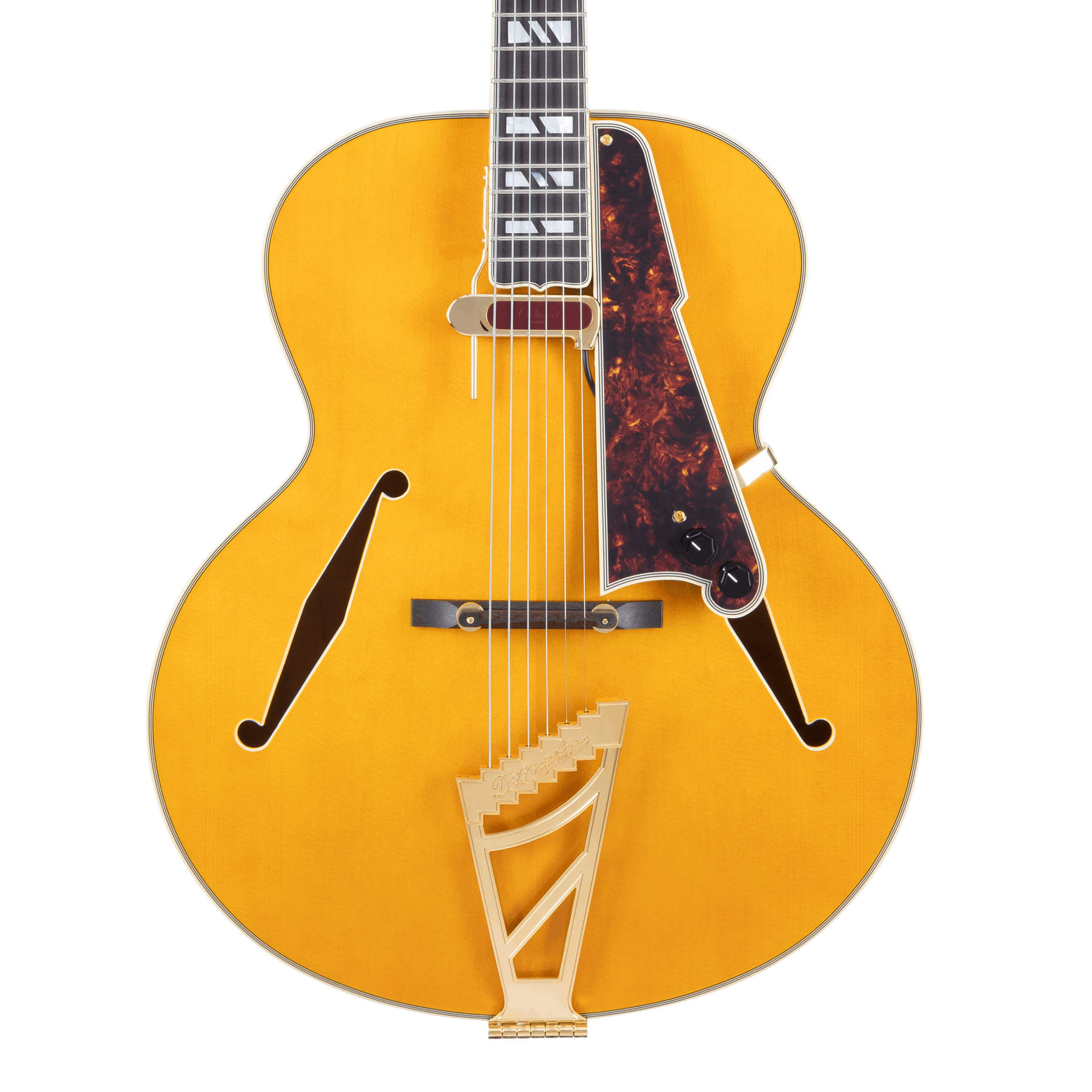 D'angelico Excel Style B Hollow Body Electric Guitar in Amber