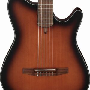 Ibanez FRH10N-BSF Nylon-String Electro Acoustic Guitar in Brown Sunburst Flat