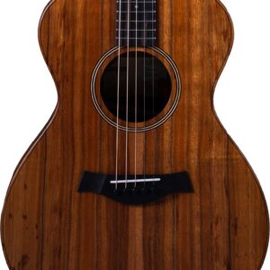 Taylor Jacob Collier Signature 5-String Acoustic Guitar