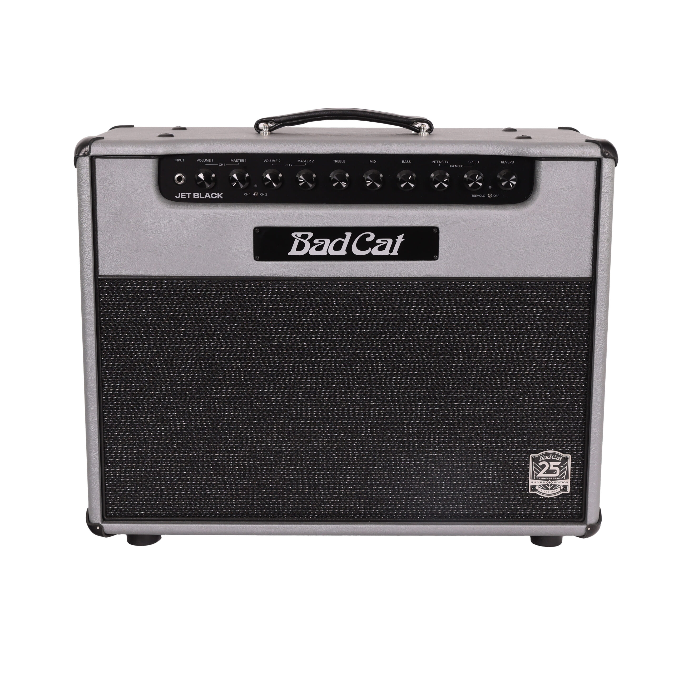 Second Hand Bad Cat Jet Black 25th Silver Anniversary Guitar Valve Amp Combo 063