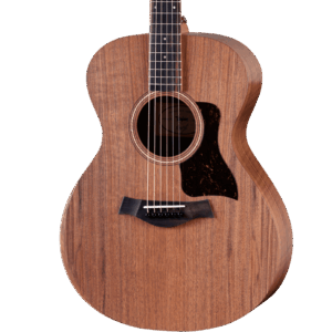 Taylor Academy Series 22e Electro-Acoustic