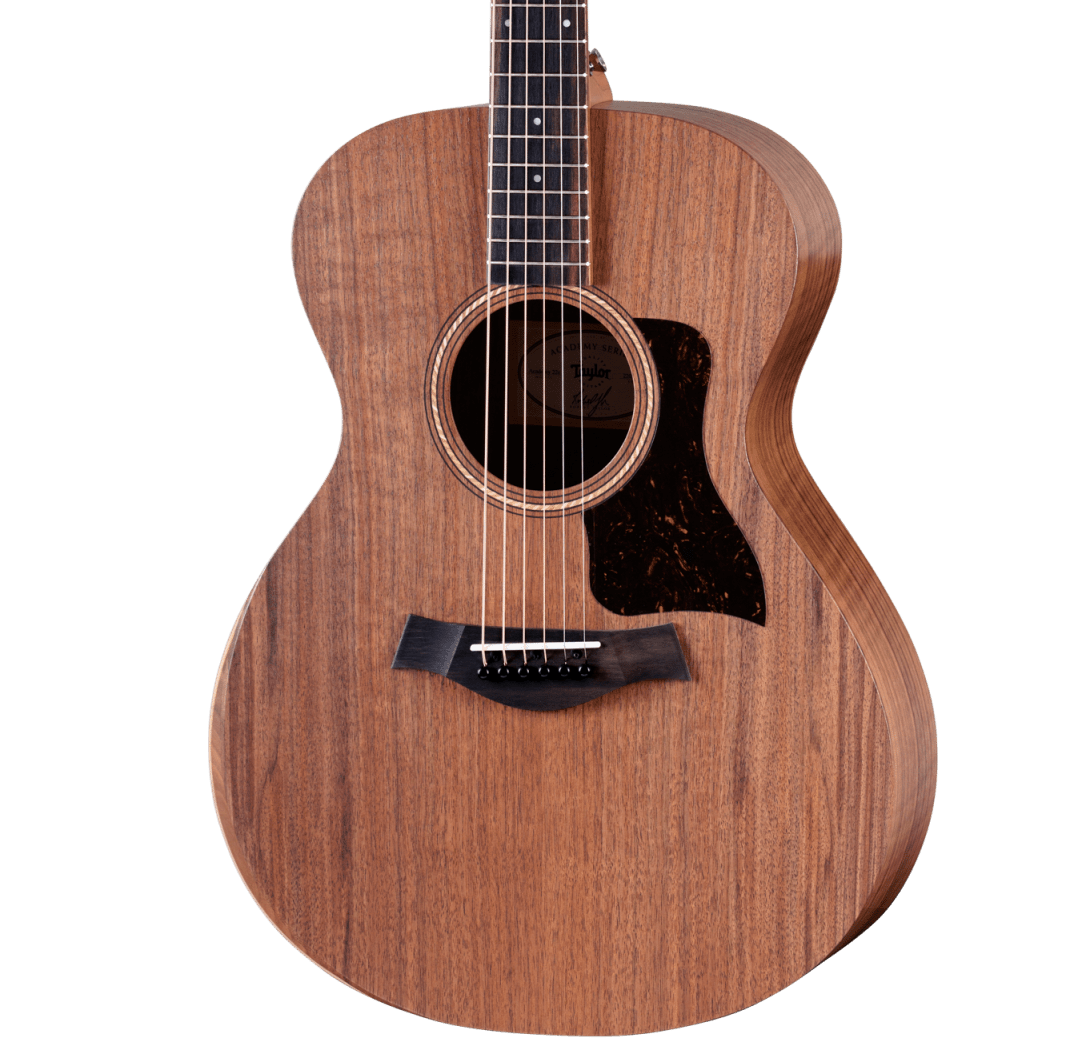 Taylor Academy Series 22e Electro-Acoustic