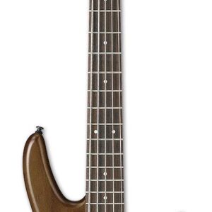 Ibanez GSR205B 5-String Bass Guitar in Walnut Flat