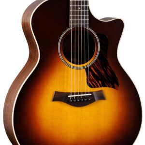 B Stock : Taylor American Dream Series AD14ce 50th Anniversary 001