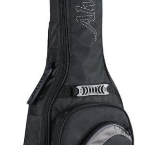 Alvarez 15mm Deluxe DuoFoam Gig Bag LJ2