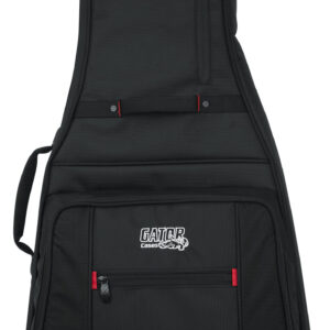 Gator Pro GO 335/Flying V Gig Bag
