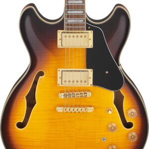 Ibanez JSM10EM John Schofield Signature Guitar in Two Tone Burst