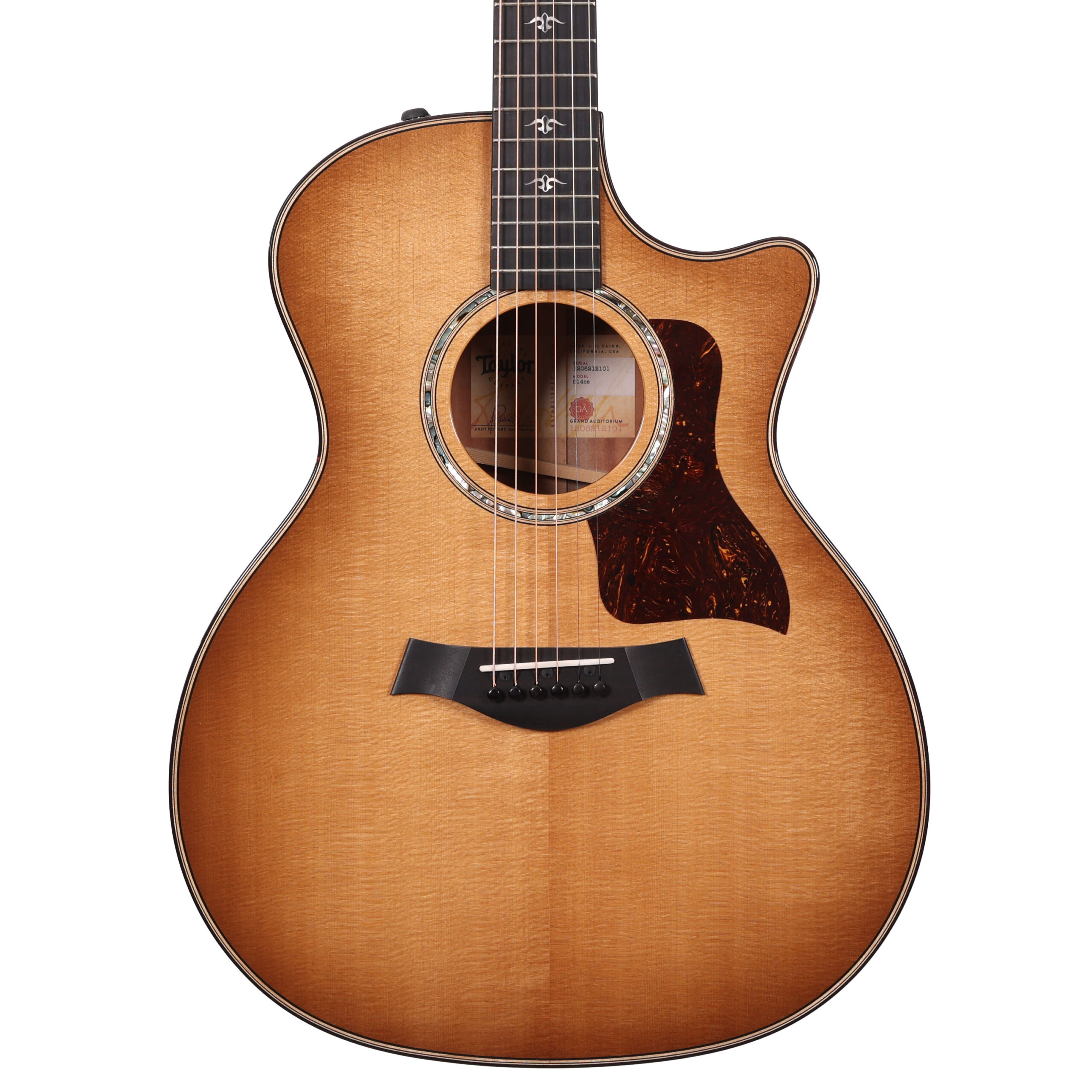 Second Hand Taylor 514ce Grand Auditorium Electro Acoustic Guitar Urban Ironbark/Torrefied Spruce with Case 110